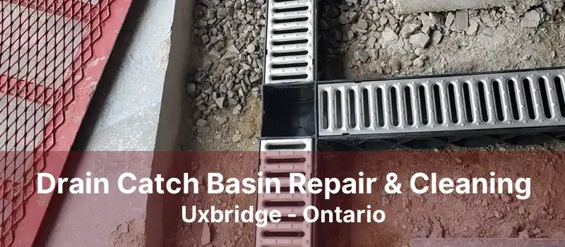 Drain Catch Basin Repair & Cleaning Uxbridge - Ontario