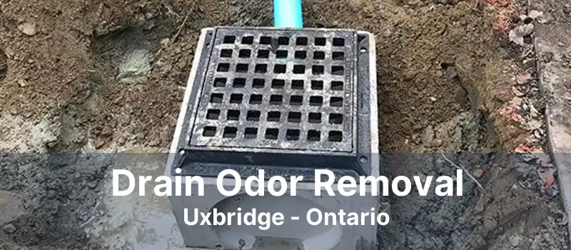 Drain Odor Removal Uxbridge - Ontario