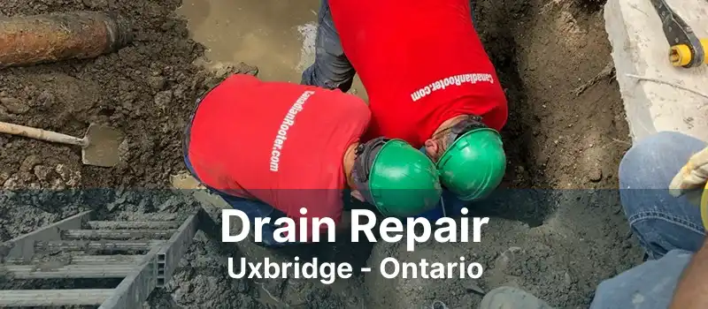 Drain Repair Uxbridge - Ontario